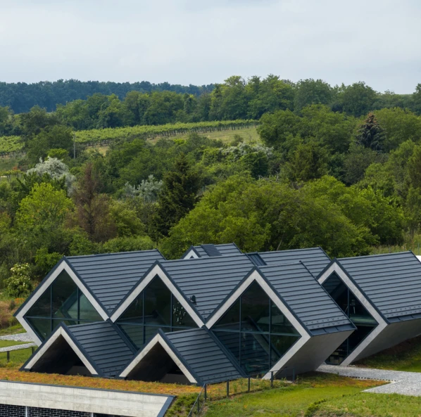 swissporTON / CREATON DOMINO — Płaska dachówka ceramiczna